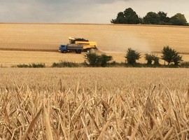 Sustainable Intensification - combine harvester in a wheat field