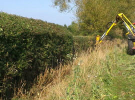 Hedgerow cutting with a flail